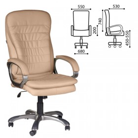 Кресло офисное BRABIX Omega EX-589 в Уяре - uyar.katalogmebeli.com | фото 1