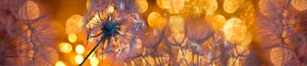 Кухонный фартук Мерцание Одуванчики золотистые 3 серебро в Уяре - uyar.katalogmebeli.com | фото 1